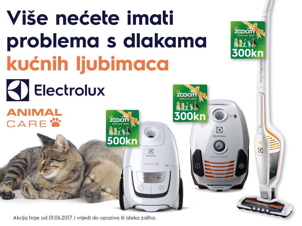 Andabaka-Elux_Elux_Animal-1